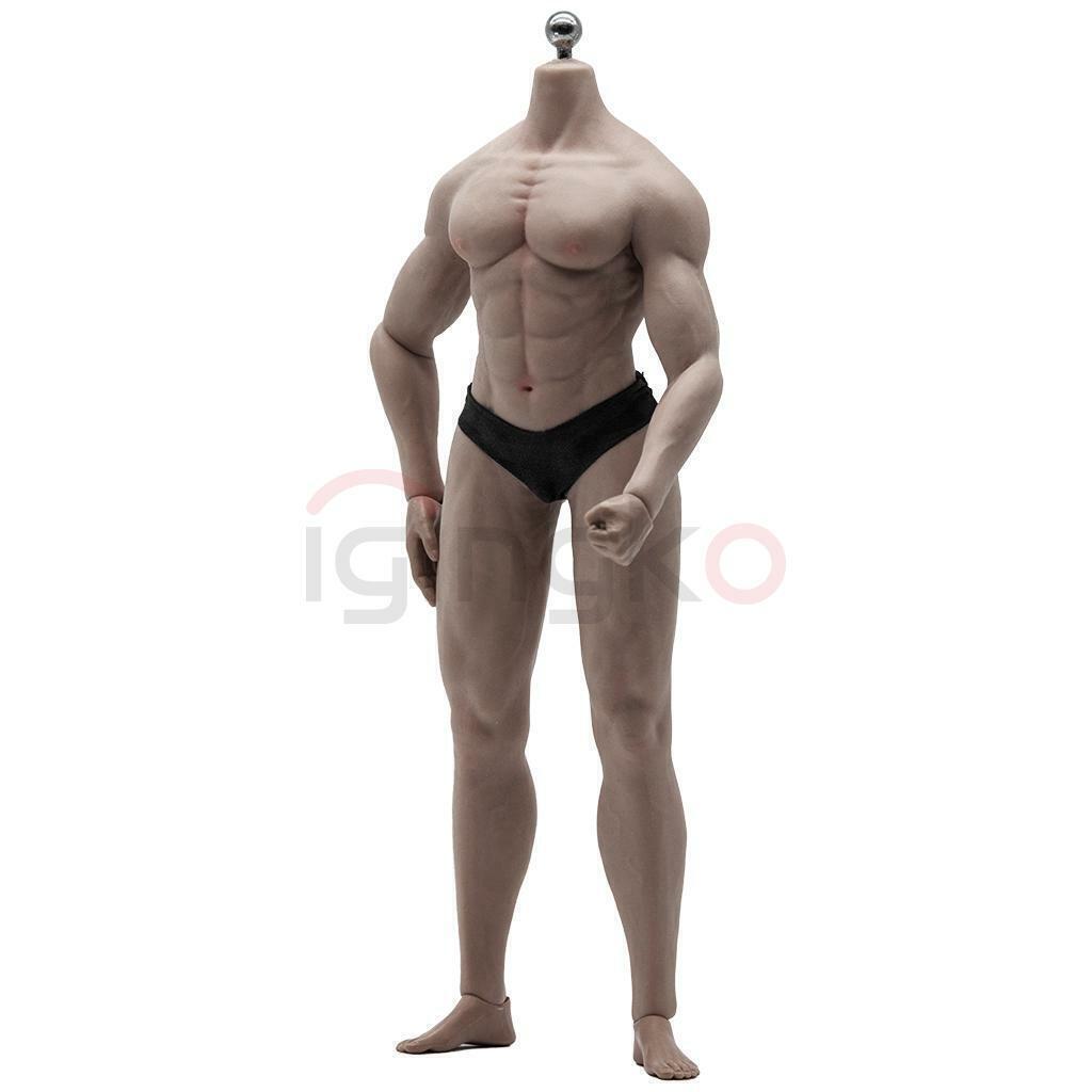 1/6 Male Action Figure Seamless Muscular Body for 12" Phicen/TBLeague Head Dark 海外 即決_1/6 Male Action Fi 1