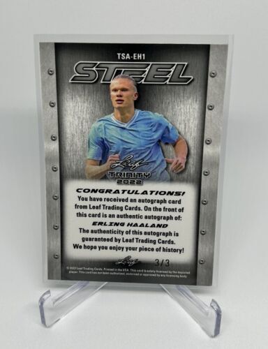 Erling Haaland 2022 Leaf Trinity Soccer Steel Pink Crystal Autograph /3 Man City 海外 即決_Erling Haaland 202 2