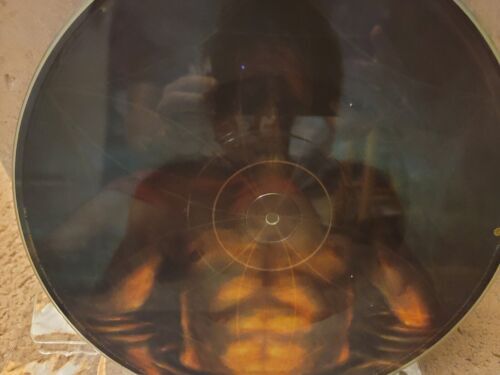 Tool Cesaro サム〜調和 /mability 12" バイナル Aenima Promo Picture Disc Never Played 海外 即決_Tool Cesaro サム〜調和 1