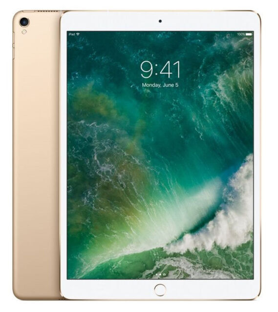 Apple iPad Pro 1st Gen. 256GB, Wi-Fi, 10.5 in - Gold 海外 即決_Apple iPad Pro 1st 1
