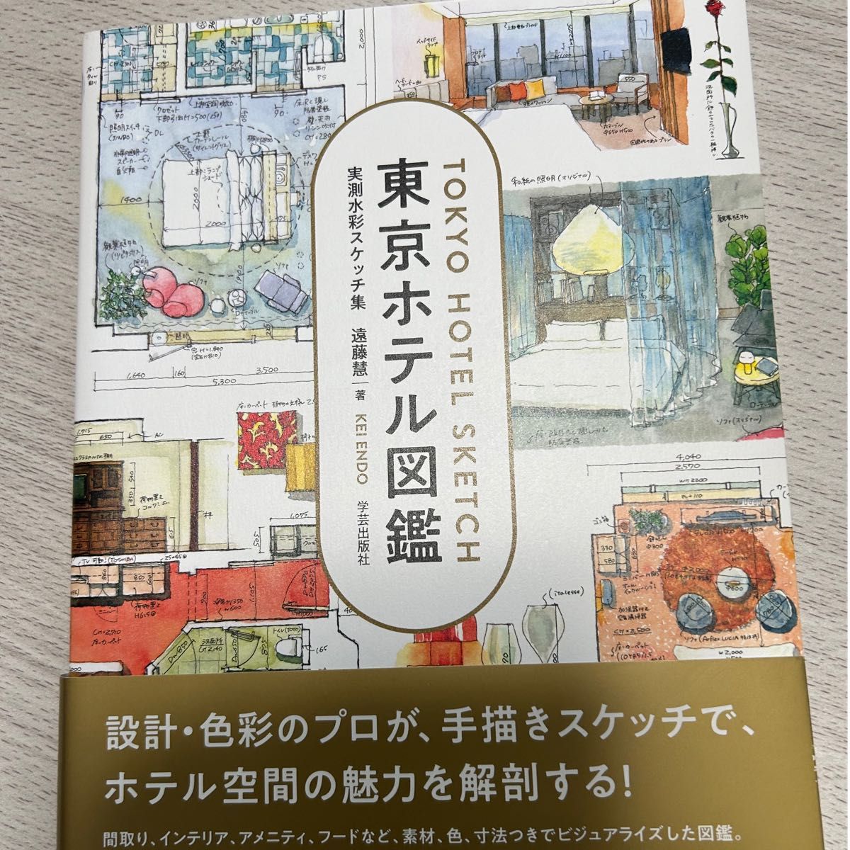 東京ホテル図鑑　おしゃれ　インテリア　一流ホテル　ガイドブック 地理