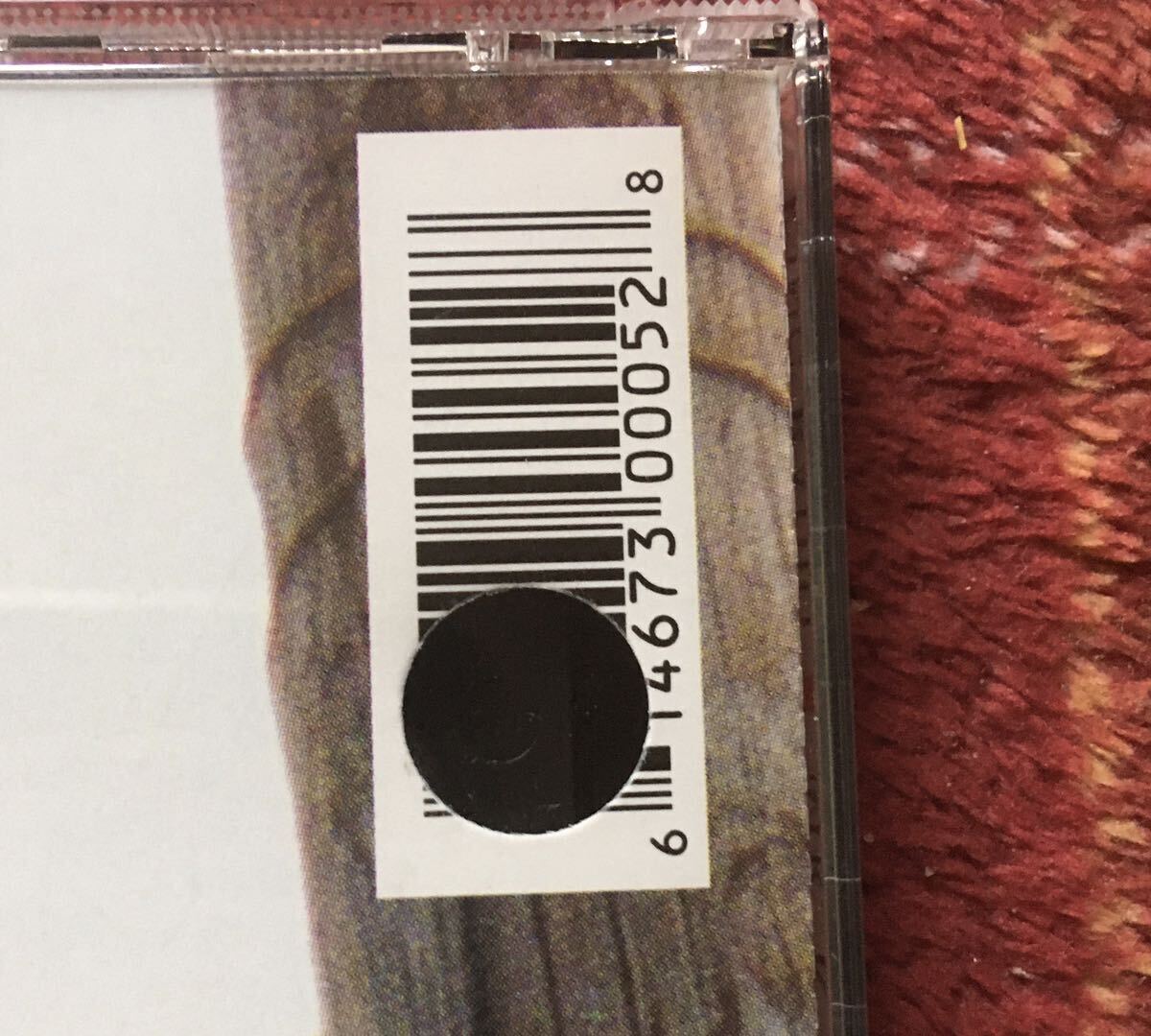 King Radio[Mr. K Is Dead, Go Home]USインディー/ギターポップ/ネオアコ/ネオサイケ/ルーツロック/Thom Monahan(Lilys/Pernice Brothers)_画像4