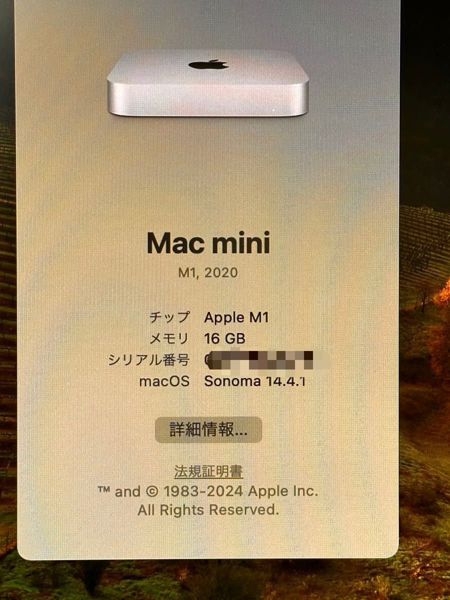 Apple MAC MINI late 2020 M1 512GB メモリ16GB