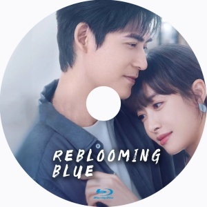 『Reblooming Blue（自動翻訳）』『E』『中国ドラマ』『Y』『Blu-ray』『IN』★6／I5で配送_画像2