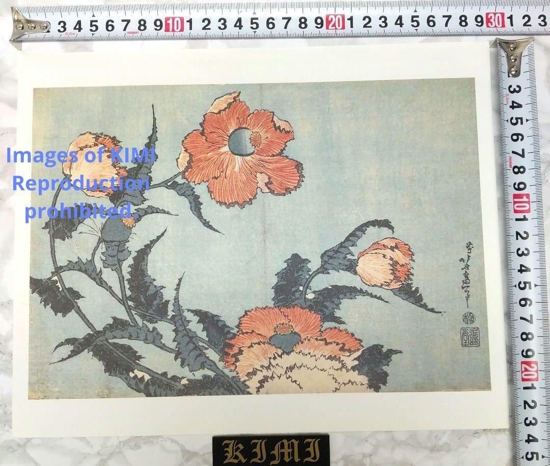 ポスター 茶子 葛飾北斎 けし かつしか ほくさい Poster Keshi Katsushika Hokusai Papaver somniferum Opium poppy_画像8