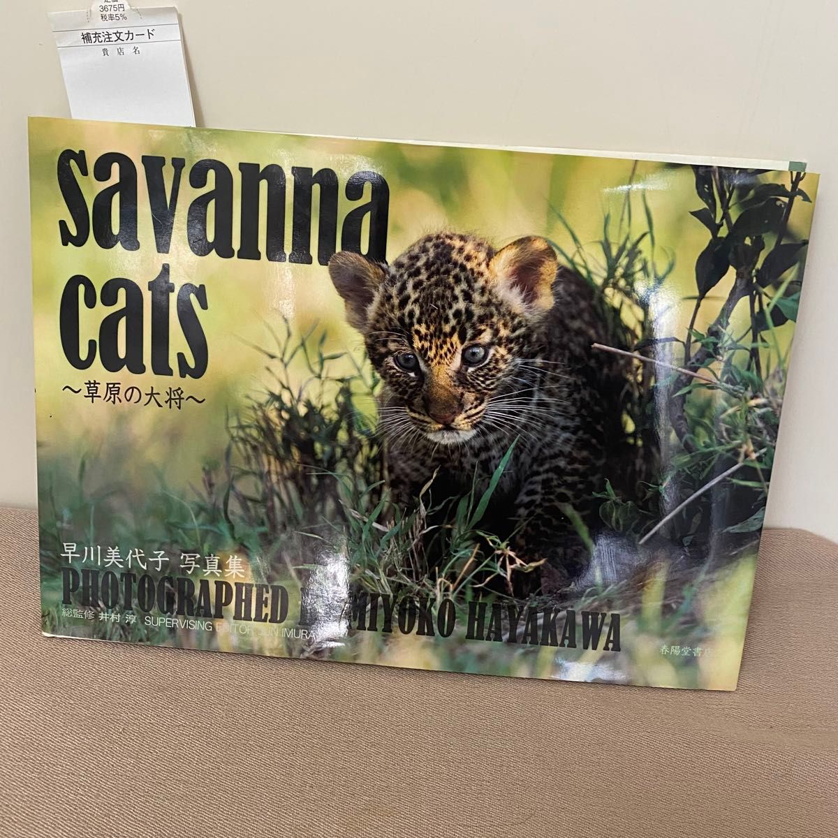 早川美代子写真集「savanna cats」サバンナキャッツ 新品 定価3675円