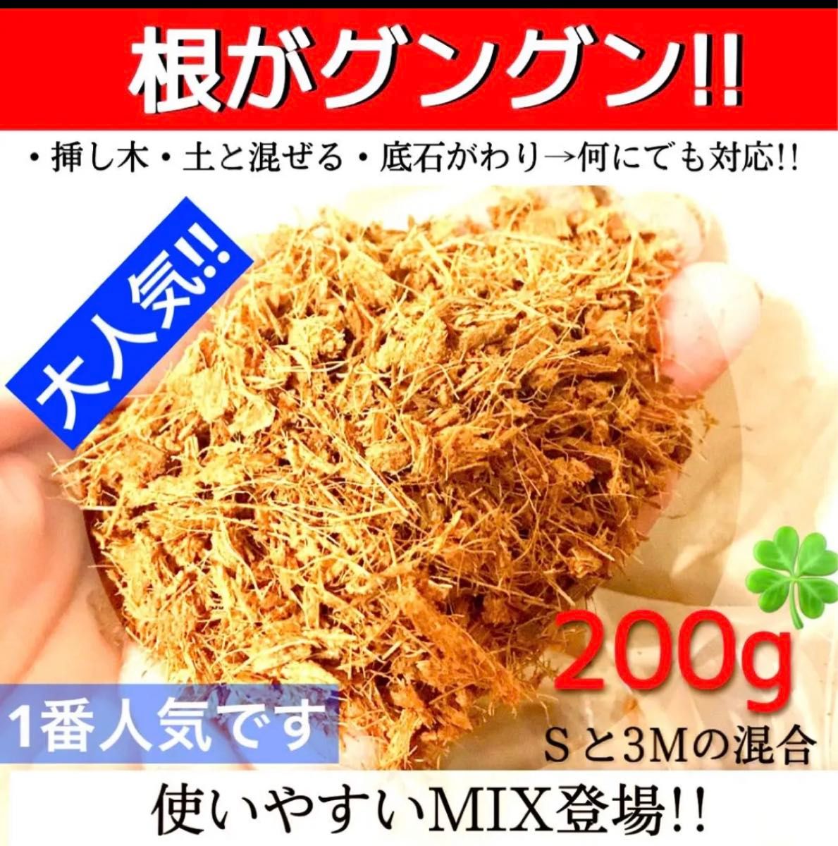 ヤシチップMIX【ポトス 斑入り モンステラ マドカズラ アイビー 柚子 桃 苺 多肉植物 韓国苗 薔薇 紫陽花 水苔等に】〇