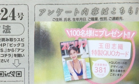 ■玉田志織 QUOクオカード応募要項のみ /ビッグコミックスピリッツ2024年24号本誌なし_画像1