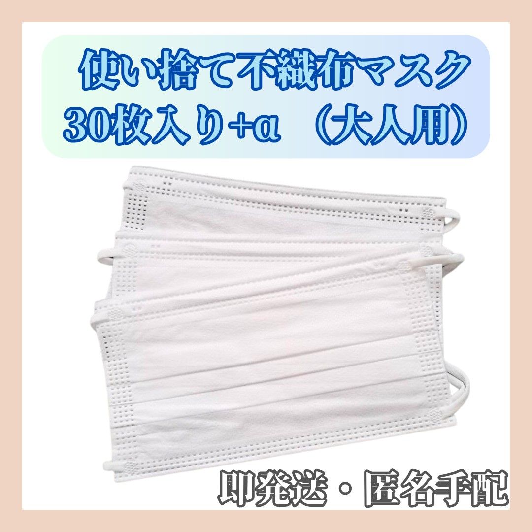お掃除や花粉症対策・介護時などに【大人用】不織布ホワイトマスク30枚入