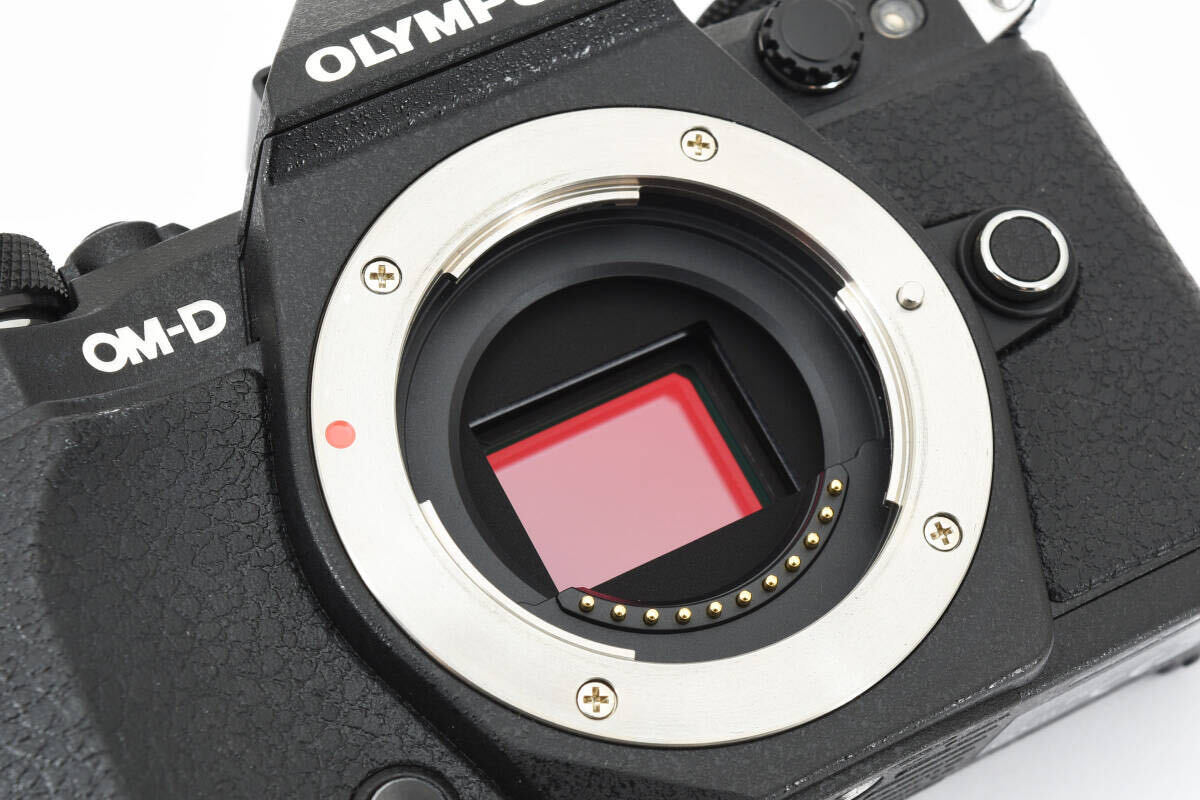 【極上美品】 OLYMPUS オリンパス OM-D E-M5 MarkII ボディ ミラーレス一眼 デジタルカメラ シャッター回数1385回 【動作確認済み】 #1419の画像10