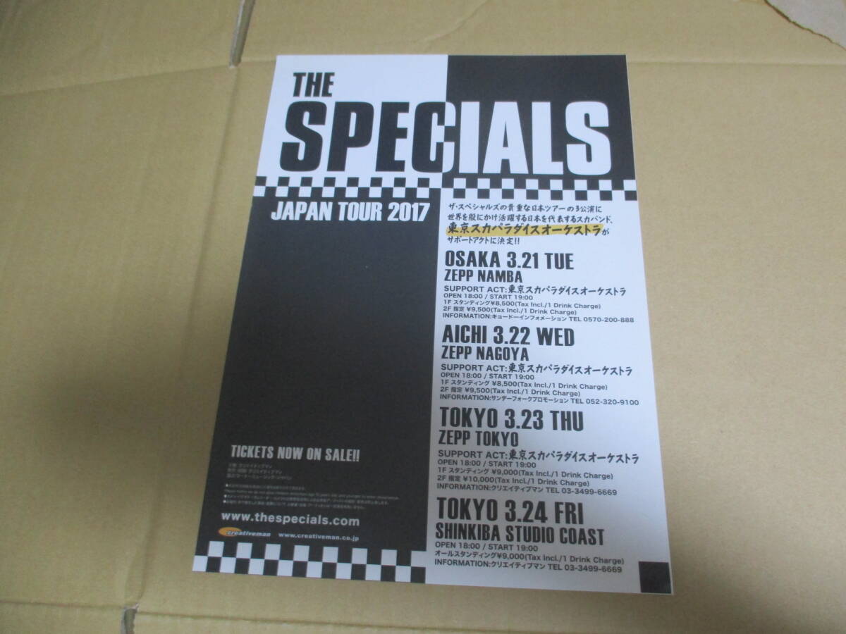 コンサート・チラシ　ザ・スペシャルズ　The Specials　スカ 2トーン ニュー・ウェイヴ　東京スカパラダイスオーケストラ　_画像1