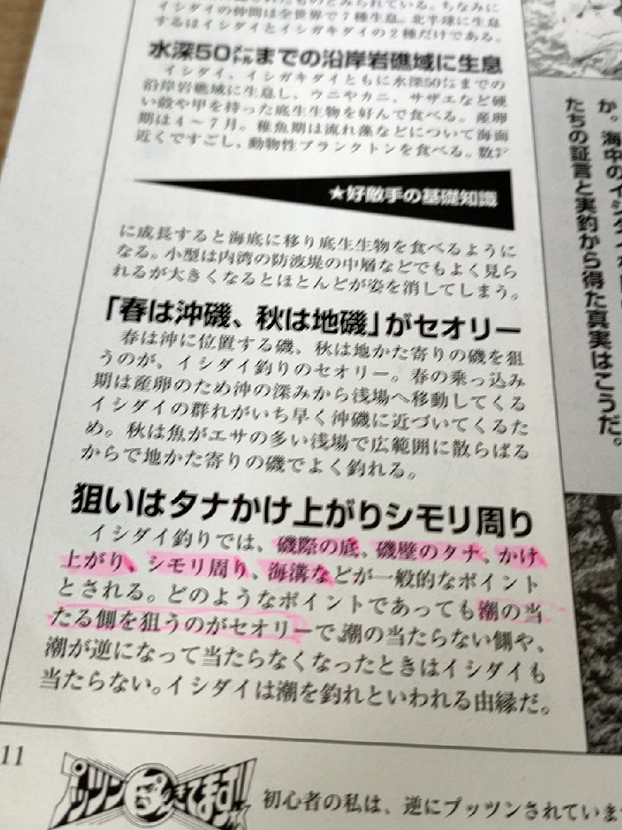 磯釣りスペシャル 1999.7 週刊釣りサンデー/イシダイ/クエ/マダイ/イサギ/タマミ/尾長グレ/ポイント/磯釣り/魚釣り/フィッシング/B3229657_画像4