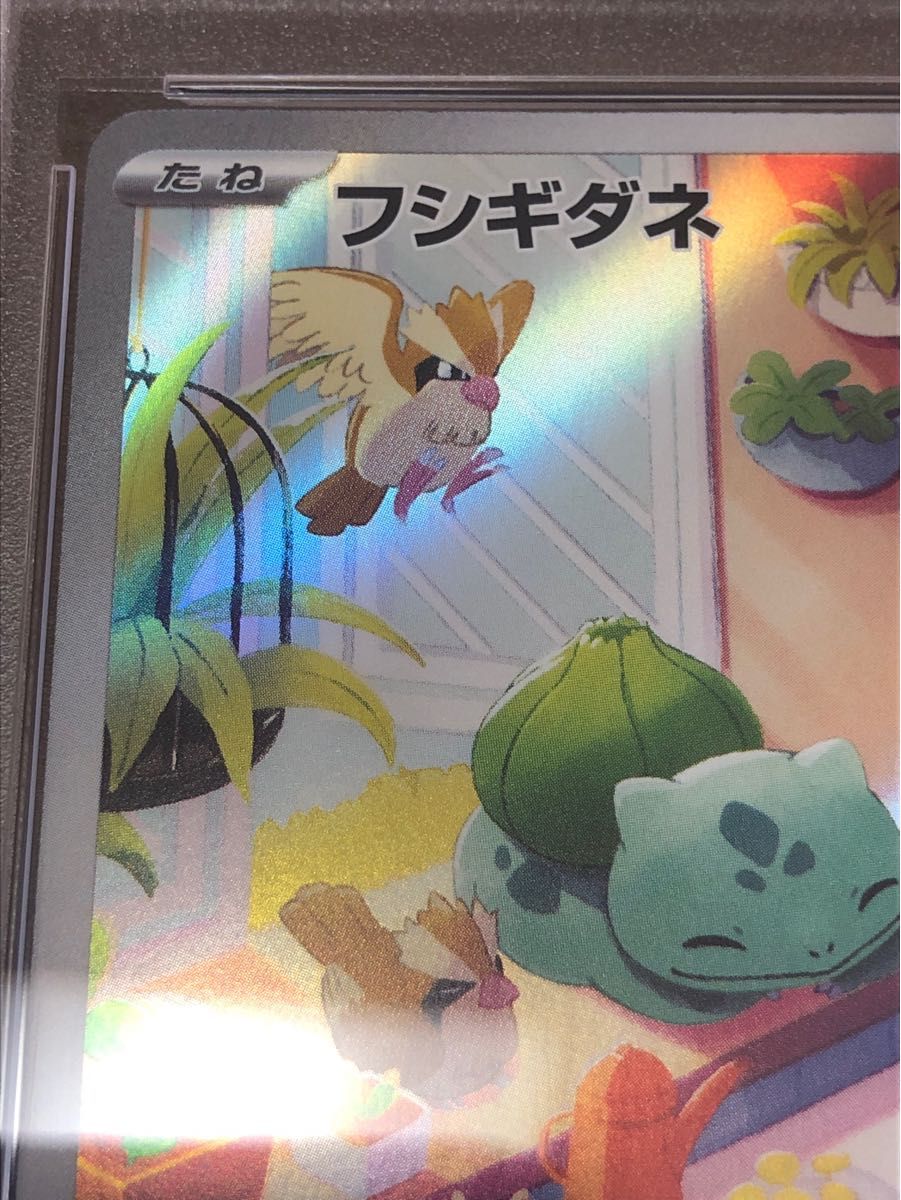 ポケモンカード フシギダネ AR PSA10 スペシャルデッキセットex ポケモンカード フシギダネ AR PSA10 スペシャルデッキセットex
