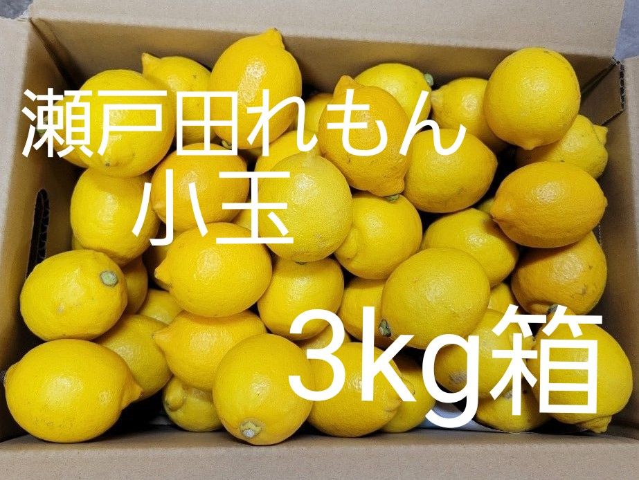 瀬戸田レモン　小玉果　3kg箱