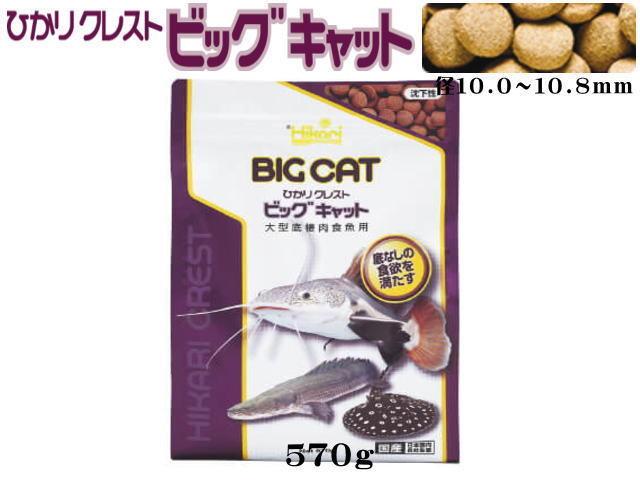 【レターパック発送】キョーリン ひかりクレスト ビッグキャット570g 大型底棲肉食魚の餌 沈下性 管理LP1の画像1