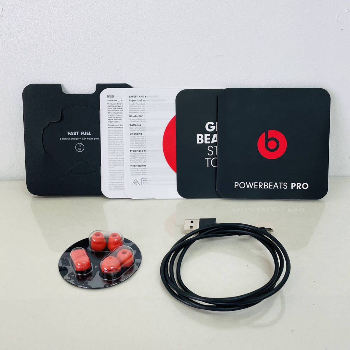  現状品　Powerbeats Pro A2454　イヤホンワイヤレスイヤホン i18208　60サイズ発送　_画像2