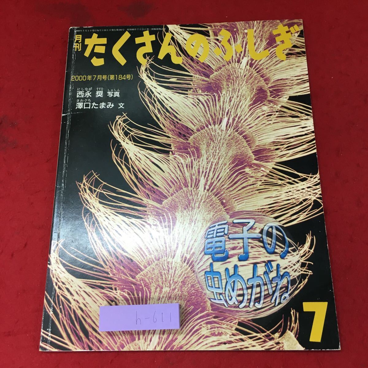 h-611 ※4 電子の虫めがね 月刊 たくさんのふしぎ 2000年7月1日 福音館書店 絵本 学習絵本 児童向け 文化 生物 昆虫