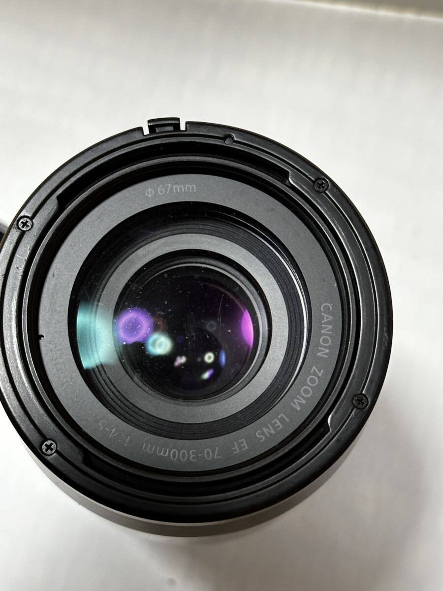 Canon EF 70-300mm 1:4-5.6 IS USM_画像2