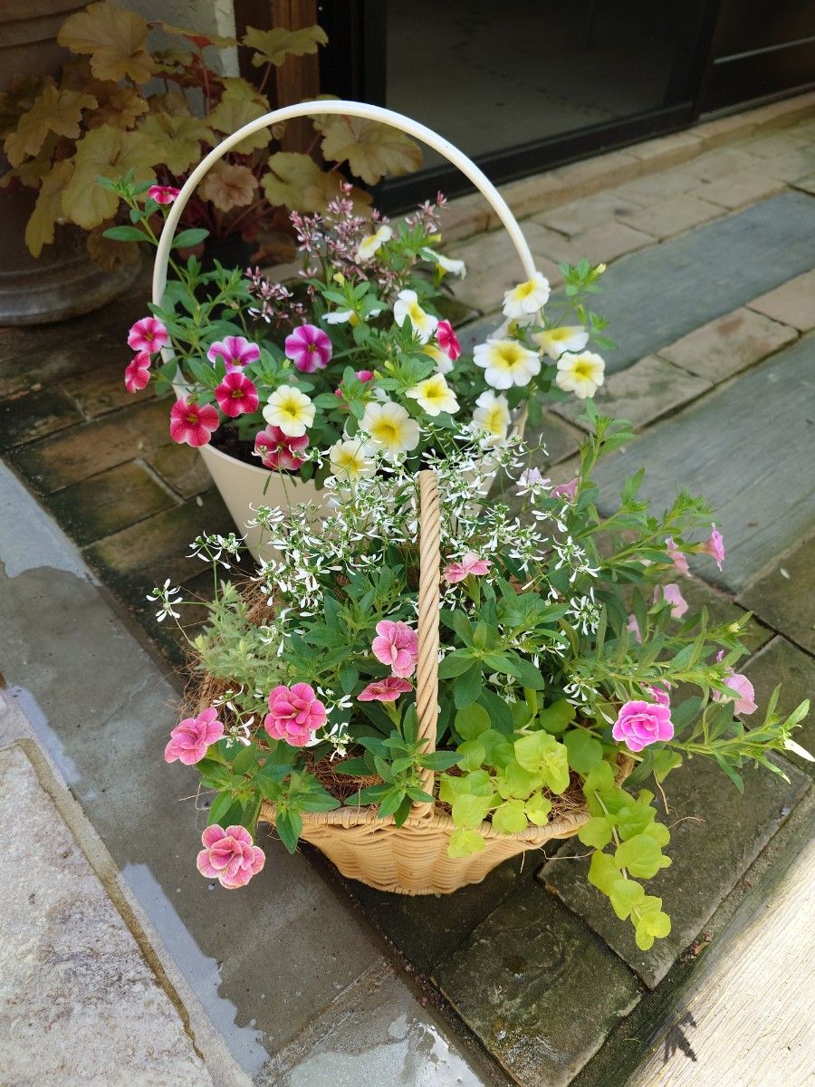 寄せ植え花　ぱるる様専用ページ