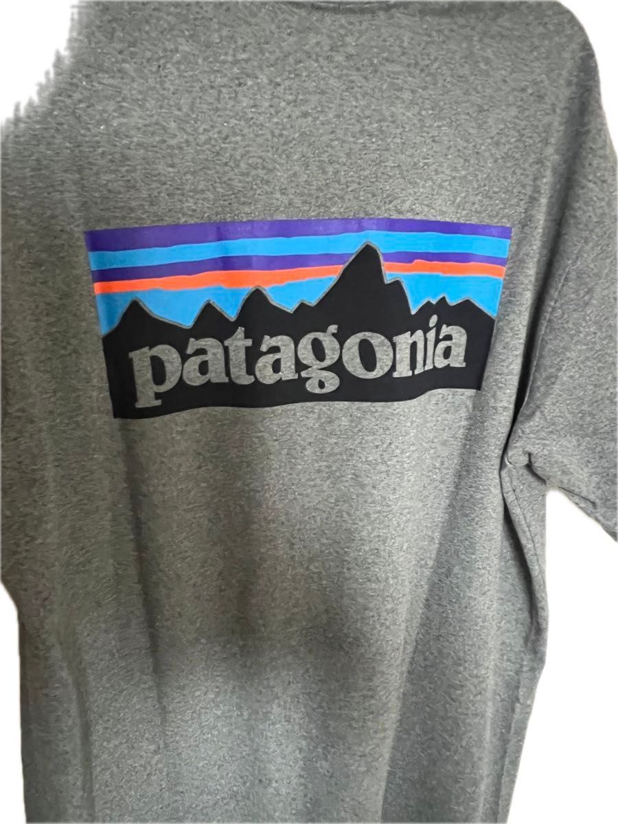 Patagonia Tシャツ