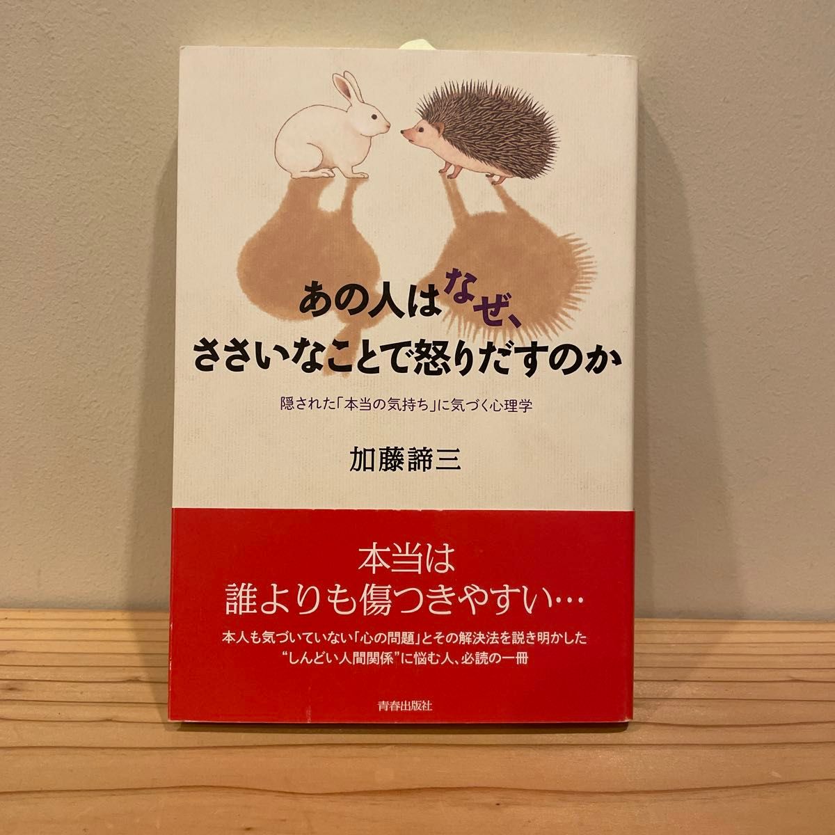 あの人はなぜ、ささいなことで怒りだすのか　隠された「本当の気持ち」に気づく心理学 加藤諦三／著