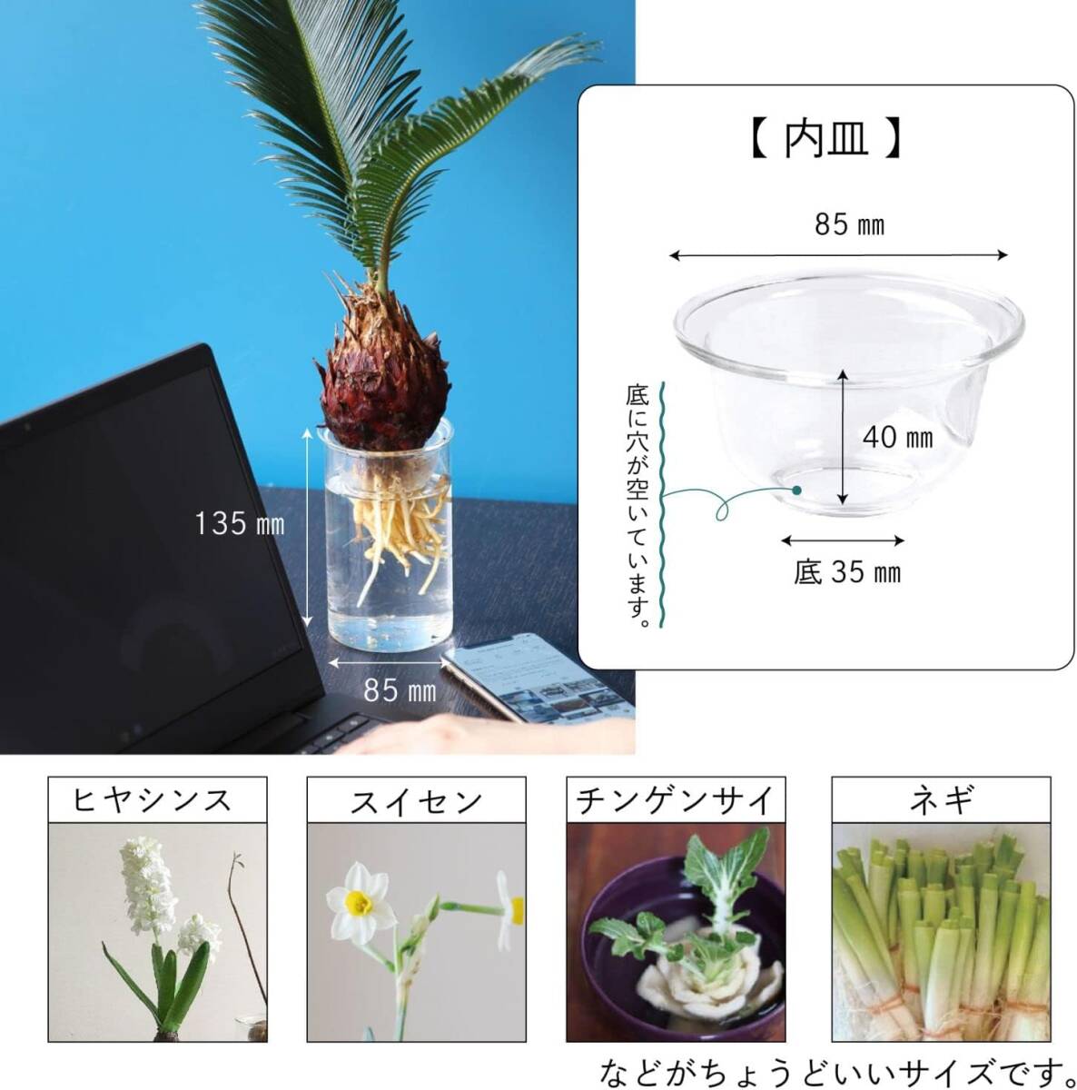 SPICE OF LIFE(スパイス) 水替えしやすい 水栽培ガラスベース 花瓶 BULB VASE バルブベース クリア ショー_画像2