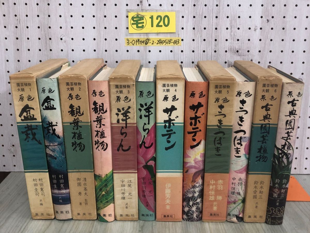 3-◇全6巻揃い セット 園芸植物大観 原色 1973年 昭和48年 集英社 盆栽 観葉植物 洋らん サボテン さつき つばき 古典園芸植物 シミ汚れ有_画像1