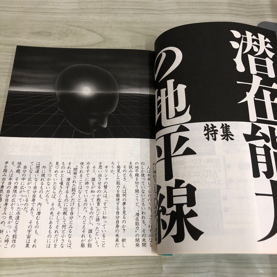 1▼ パワースペース 1999 Power SPACE　月刊 空手道 別冊の魅力雑誌 1992年 第4号 平成4年2月20日 発行 福昌堂_画像8