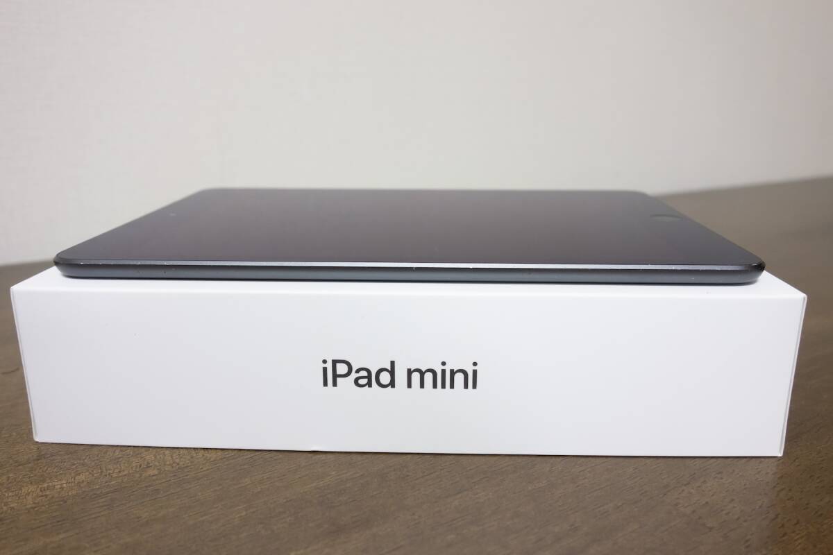 Apple iPad mini 第5世代◆スペースグレイ◆64GB◆Wi-Fi_画像8