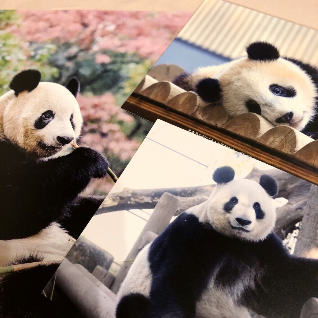 王子動物園☆受注販売終了☆アクリルキーホルダー アクリル 王子動物園☆受注販売終了☆アクリルキーホルダー アクリル
