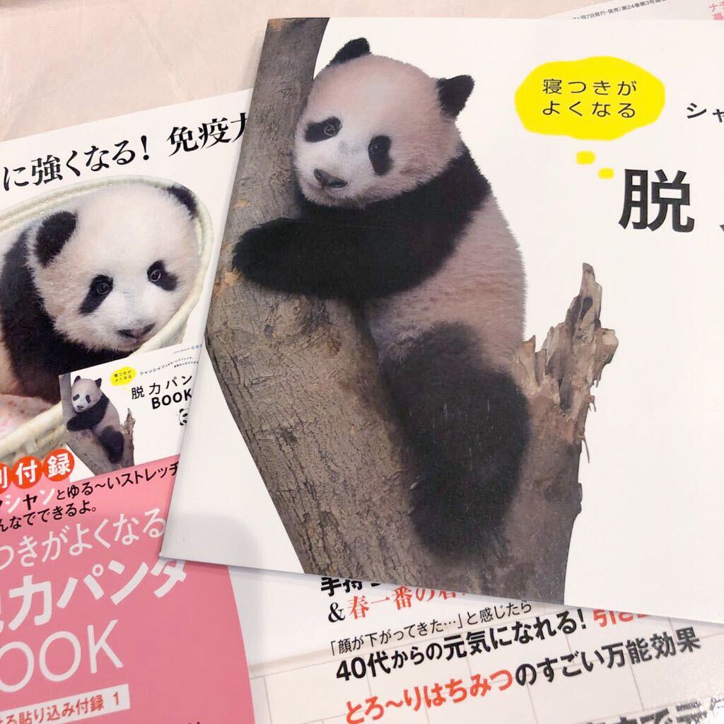 まいにちタンタン 日めくり カレンダー タンタン 王子動物園 ポストカード アクリルキーホルダー ジャイアントパンダ パンダ Panda - パンダ一般 まいにちタンタン 日めくり カレンダー タンタン 王子動物園 ポストカード アクリルキーホルダー ジャイアントパンダ パンダ Panda - パンダ一般