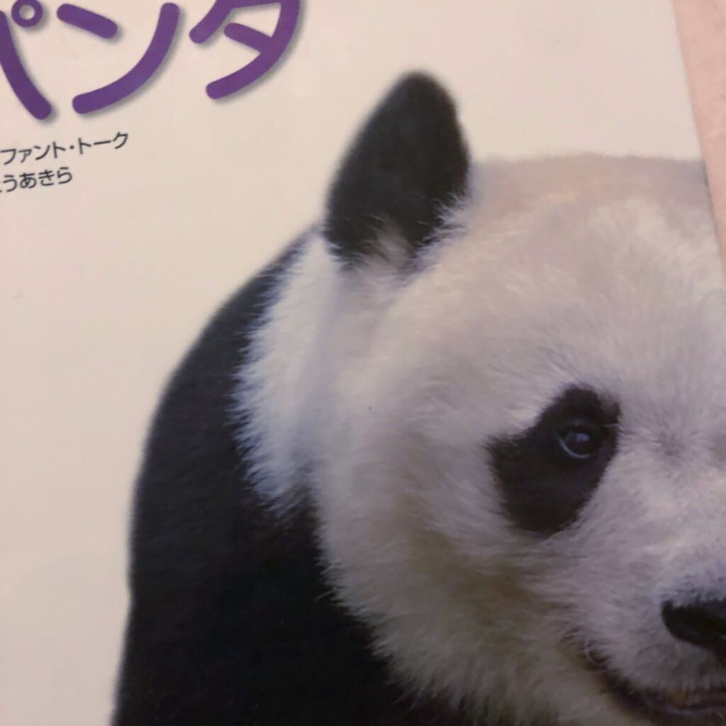 12920円 シャンシャン 成長 1歳 2歳 お誕生日 お祝いカード 名刺 12920円 シャンシャン 成長 1歳 2歳 お誕生日 お祝いカード 名刺