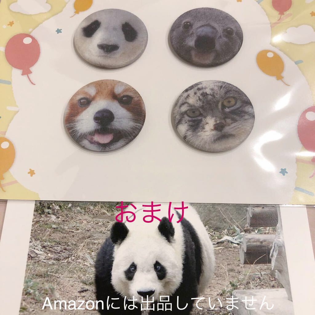 ☆年代物☆王子動物園 コウコウ来園時ポストカード コウコウと ☆年代物☆王子動物園 コウコウ来園時ポストカード コウコウと