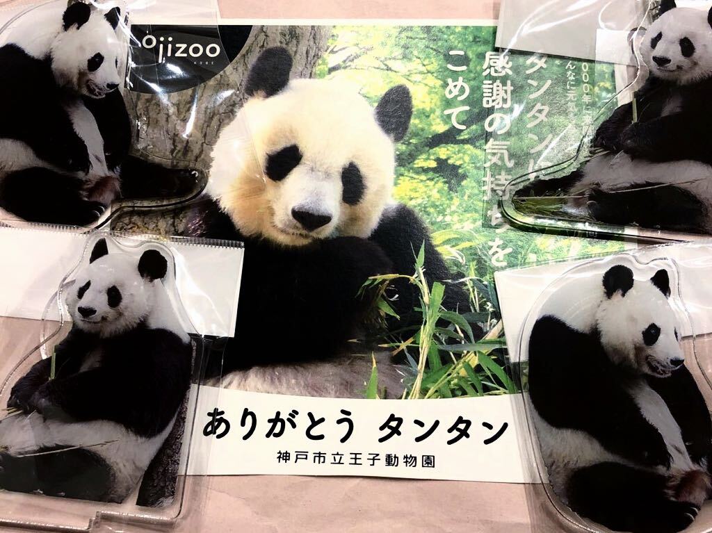 王子動物園☆受注販売終了☆アクリルキーホルダー アクリル 王子動物園☆受注販売終了☆アクリルキーホルダー アクリル