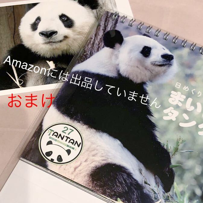 王子動物園　タンタン27th 日めくりカレンダー　おまけポストカード_画像1