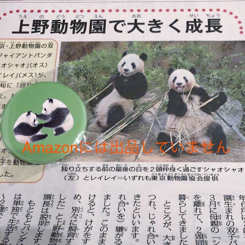 特集記事　シャンシャンの可愛い弟妹たち　双子パンダ　独り立ち　上野動物園　シャオシャオレイレイ_画像1