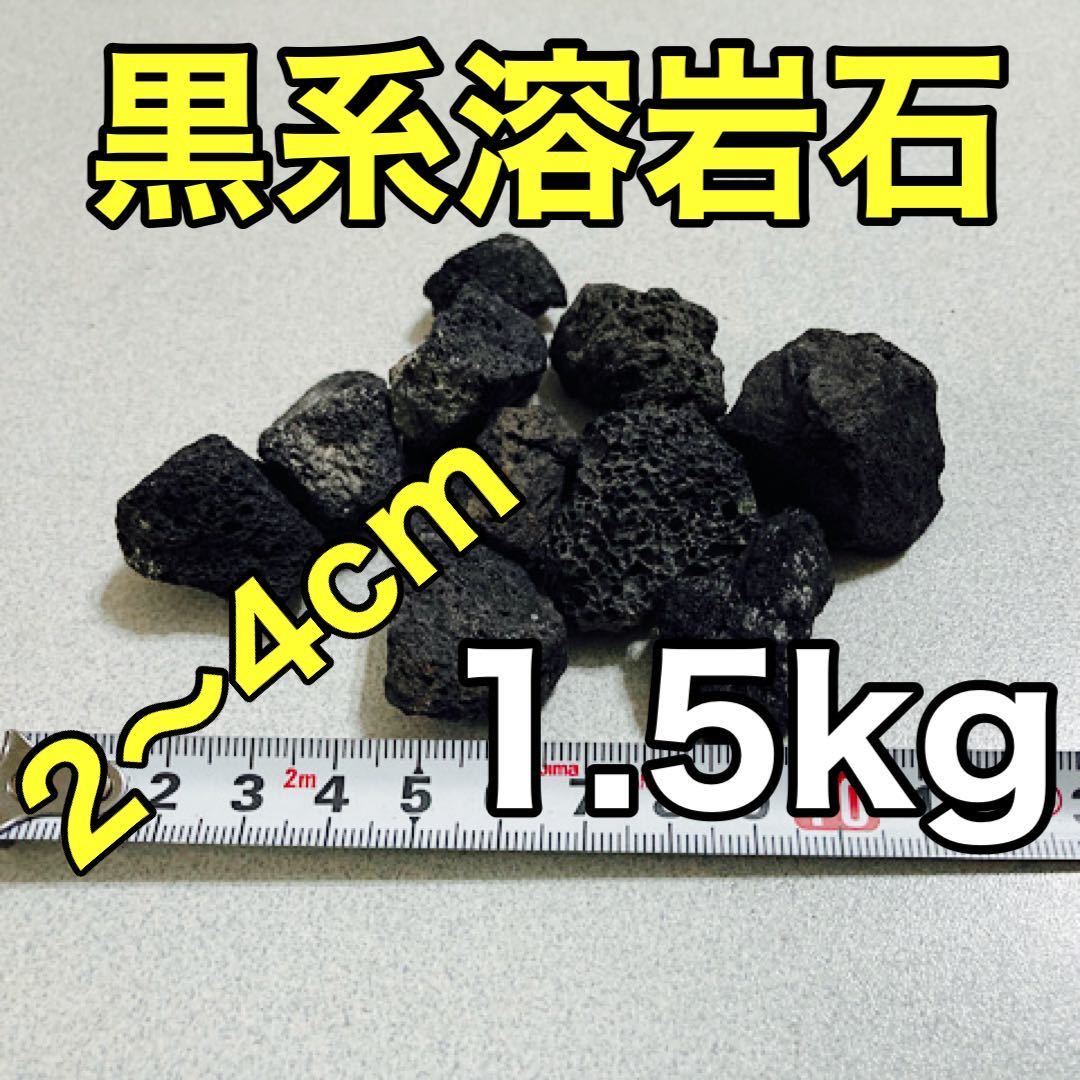 溶岩石 黒系 1.5kg アクアリウム低床 ろ材 観葉植物 多肉植物 水槽レイアウト 盆栽の画像5