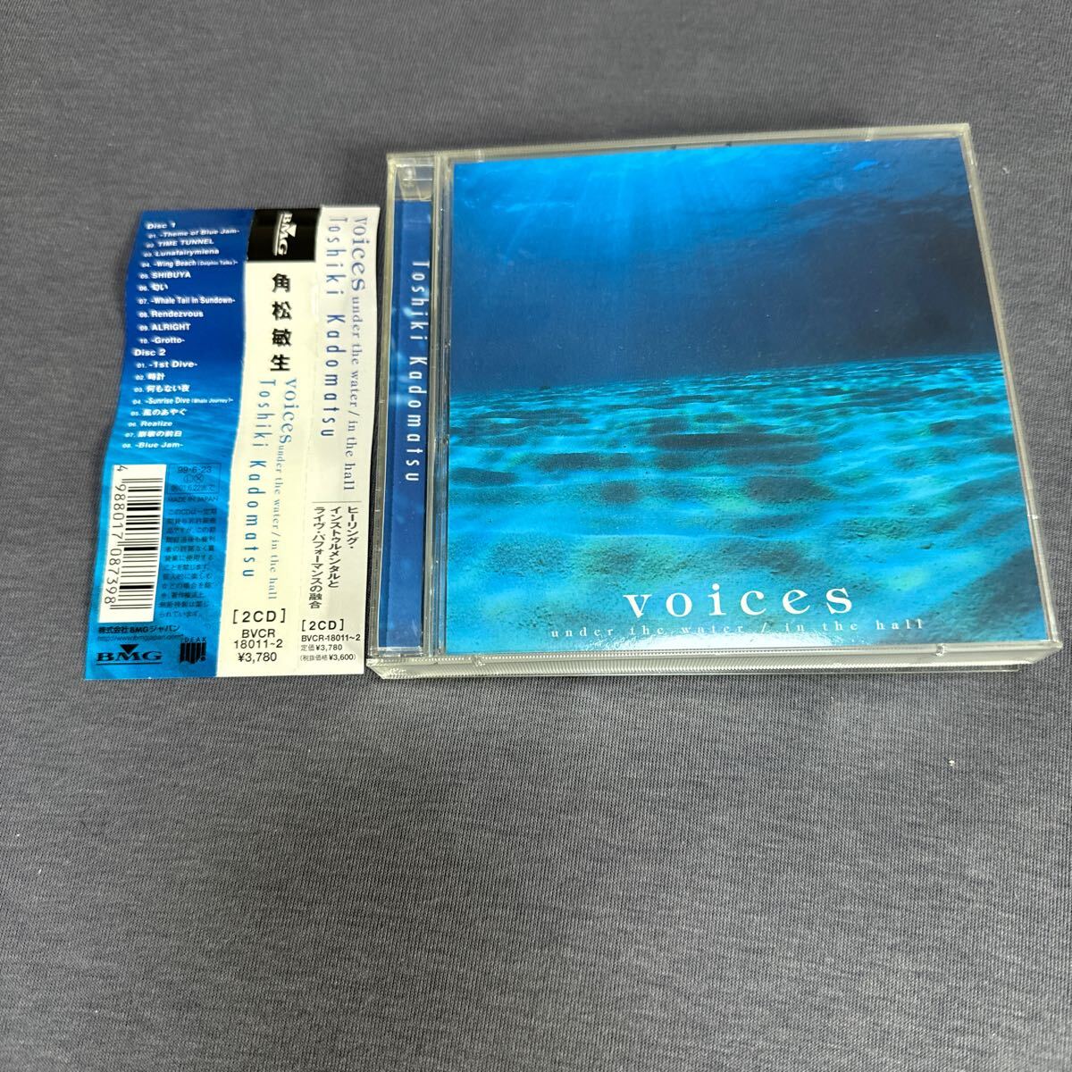 [国内盤CD] 角松敏生/voices〜under the water/in the hall [2枚組]_画像1