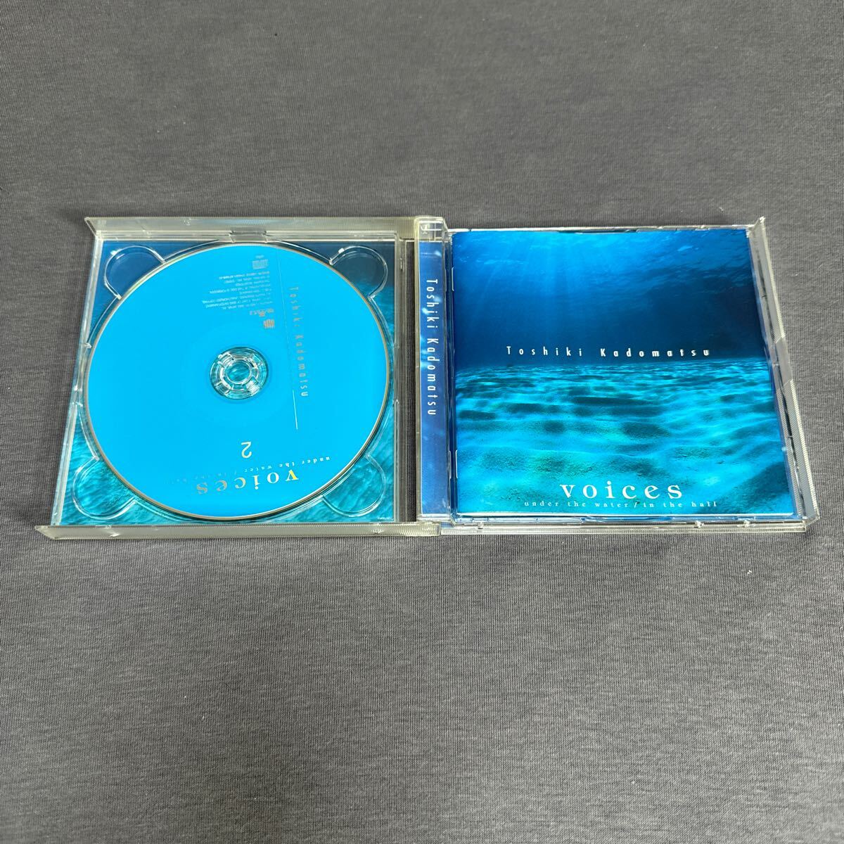 [国内盤CD] 角松敏生/voices〜under the water/in the hall [2枚組]_画像2