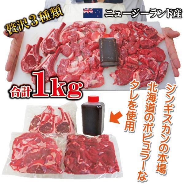 送料無料 ジンギスカン焼肉セット合計1ｋｇ　3種肉　冷凍品_画像5
