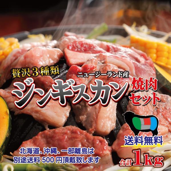 送料無料 ジンギスカン焼肉セット合計1ｋｇ　3種肉　冷凍品_画像1