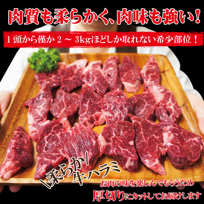 霜降り厚切り牛肉ハラミ500ｇ冷凍　米国産【焼肉】【はらみ】【和牛や国産に負けない味わい】_画像4