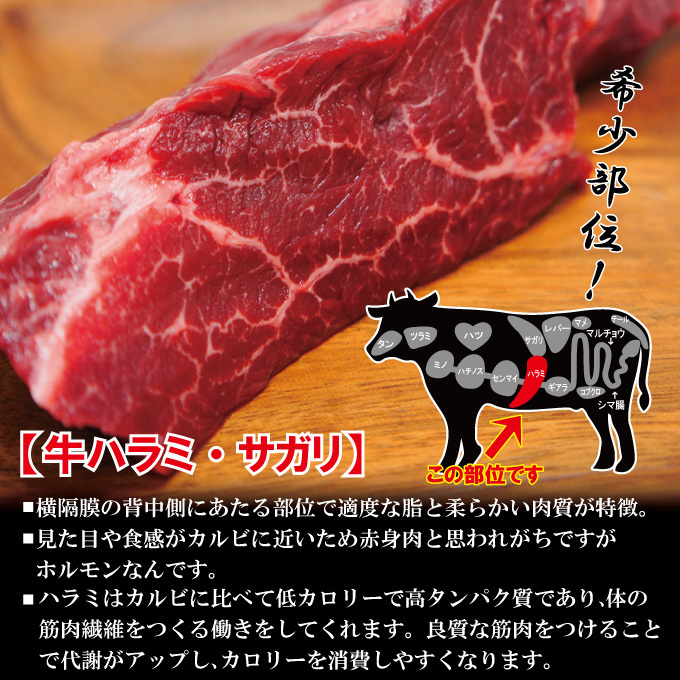 霜降り厚切り牛肉ハラミ500ｇ冷凍　米国産【焼肉】【はらみ】【和牛や国産に負けない味わい】_画像2