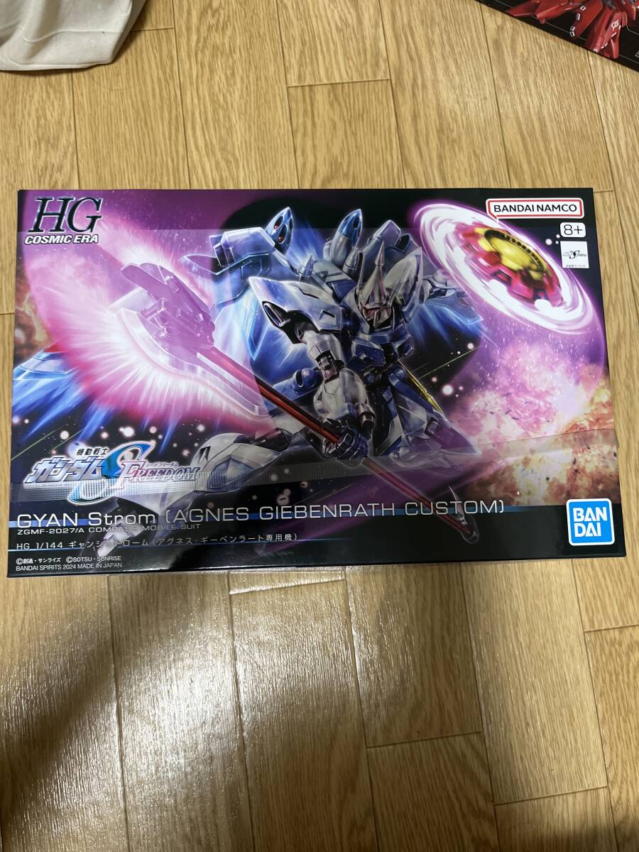 1/144 HG ギャンシュトローム(アグネス・ギーベンラート専用機) 「機動戦士ガンダムSEED FREEDOM」　新品未開封_画像1