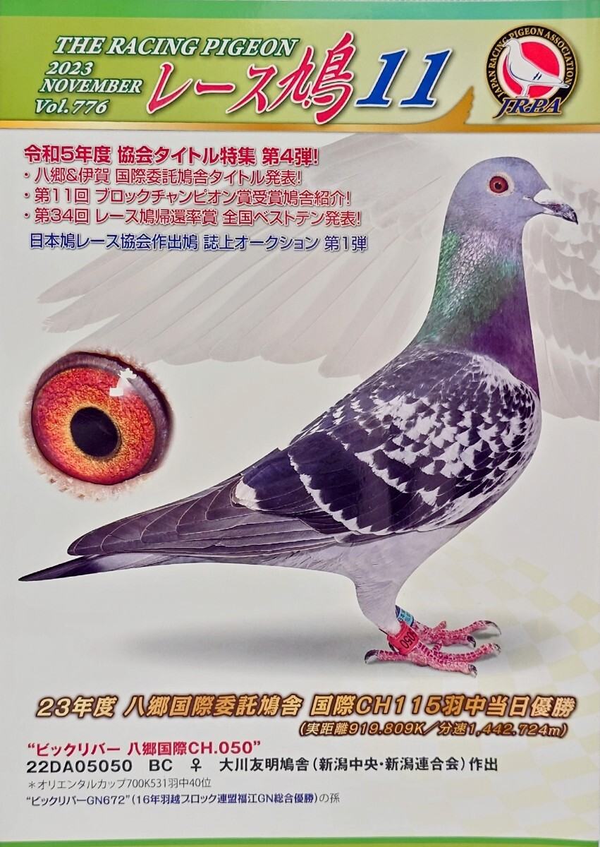  race dove 2023 год 11 месяц Япония race dove ассоциация THE RACING PIGEON журнал голубь - to