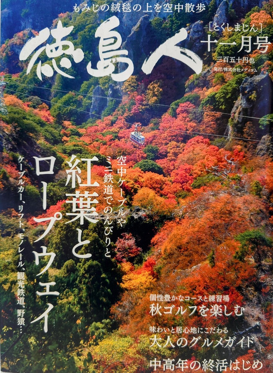 徳島人 2016年11月 紅葉とロープウェイ ケーブルカー リフト モノレール 観光鉄道 野猿 空中ケーブルやミニ鉄道からのんびりと紅葉を眺める_画像1