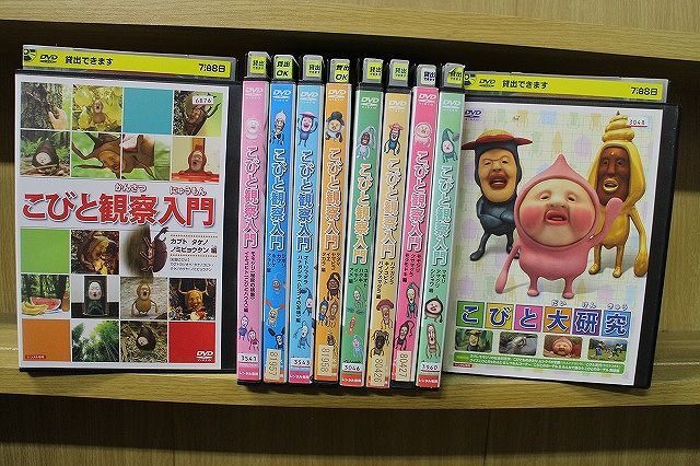 DVD... observation introduction ... large research series total 10 pcs set * case less shipping rental ZQ1055