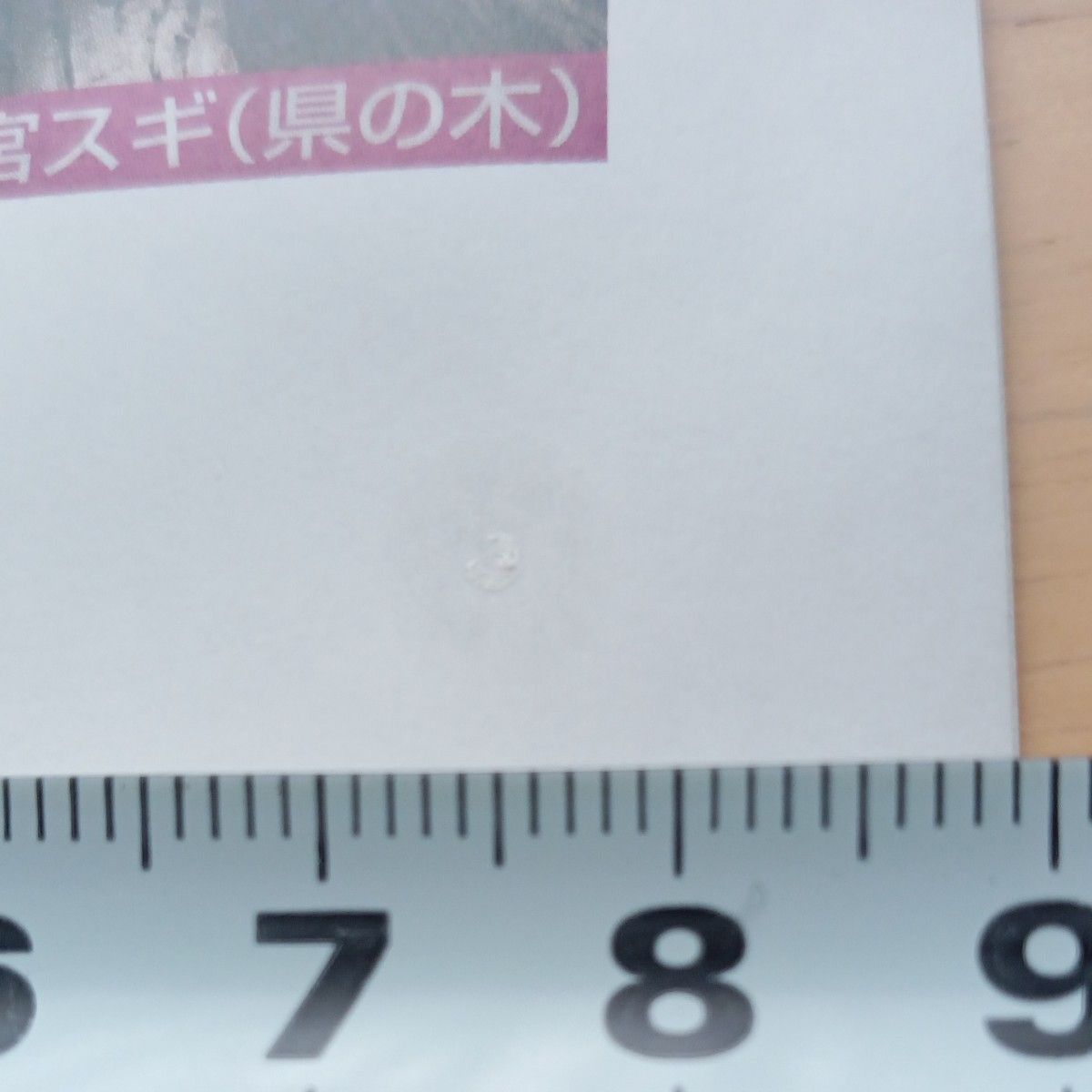 も　三重県地理資料　新学社　社会　中学　12ページ　冊子