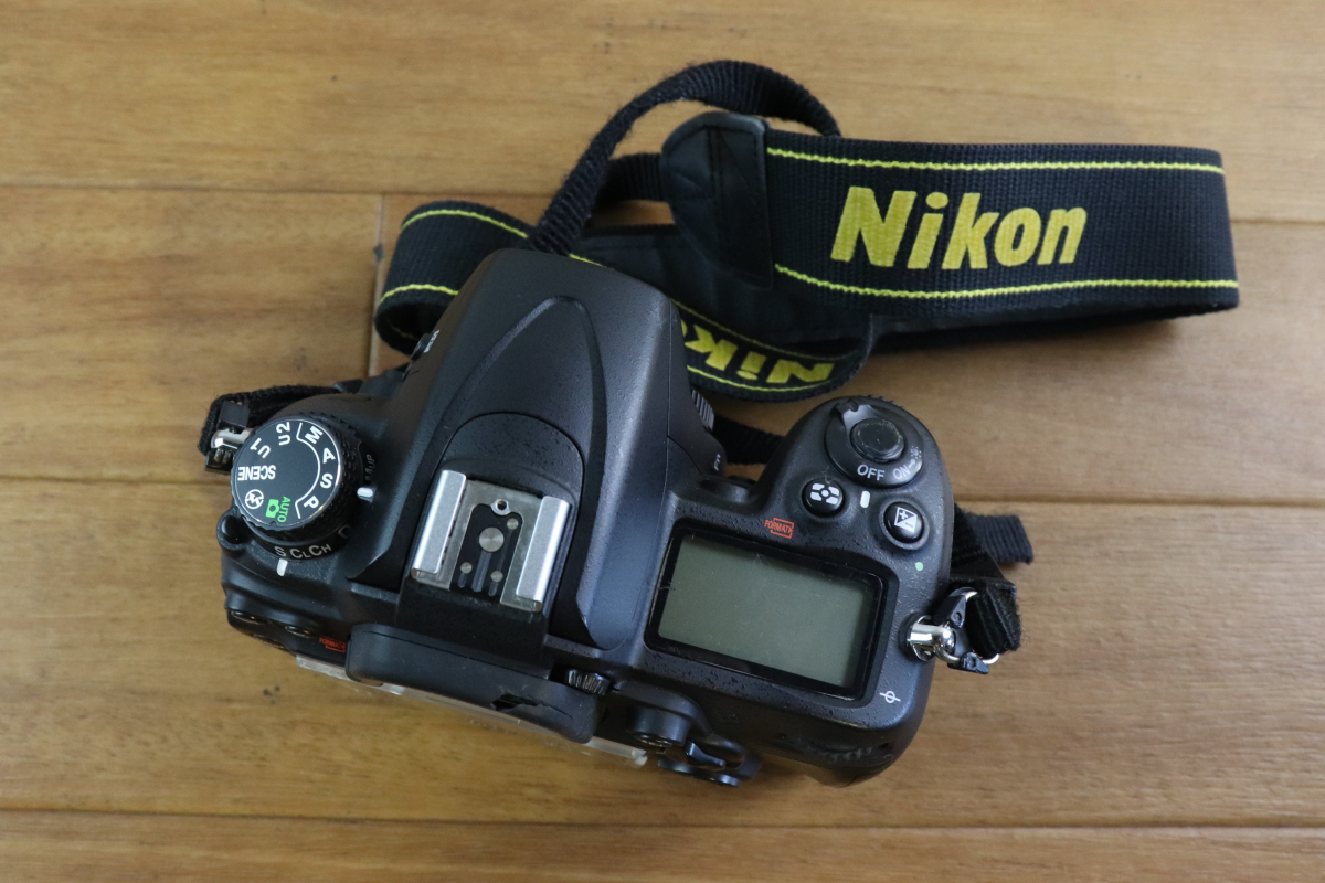 Nikon Nikon D7000 digital single‐lens reflex camera single‐lens reflex camera camera memory photograph photographing hobby collection collector 015FEDFY89