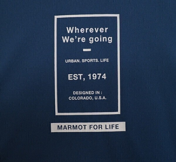 新品正規 Marmot マーモット 海外限定 吸汗速乾 UVカット Peter Round 半袖 Tシャツ100(L)ブルー(BL) 直営店購入 TSM0009_画像4